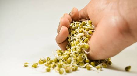 raw sprouts, pregnancy