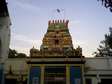 Chilkur Balaji temple, hyderabad temple coronavirus pooja, coronavirus latest updates, coronavirus cases in india, visa balaji, hyderabad news, indian express