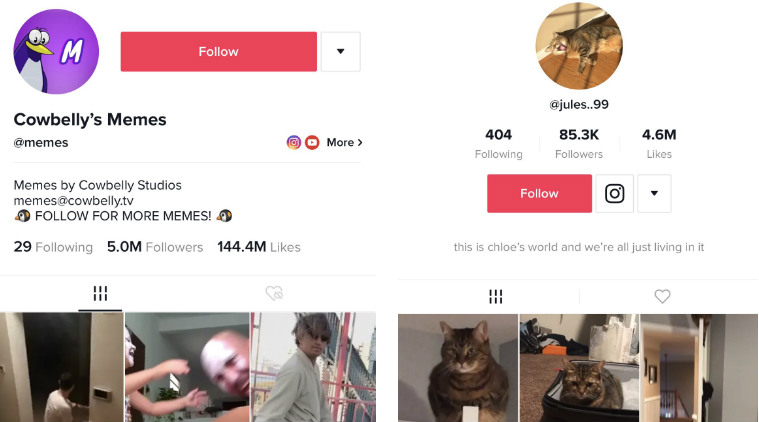 Tiktok S User Profile Page Could Soon Look Like Instagram Technology