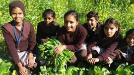 In Punjab district, signs of green shoots: Organic vegetable gardens in schools