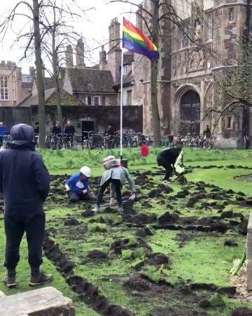 Explained: What is the Extinction Rebellion?