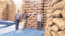 Union Budget 2020, Budget 2020, Budget for farmers, farmers budget, budget for farming, India news, Indian Express