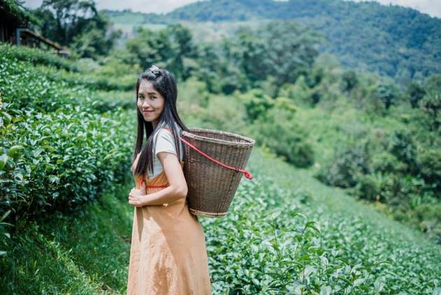 Express Wanderlust, Darjeeling, West Bengal, West Bengal tourism, trip to Darjeeling, travel, weekend getaway, Indian Express, Indian Express news