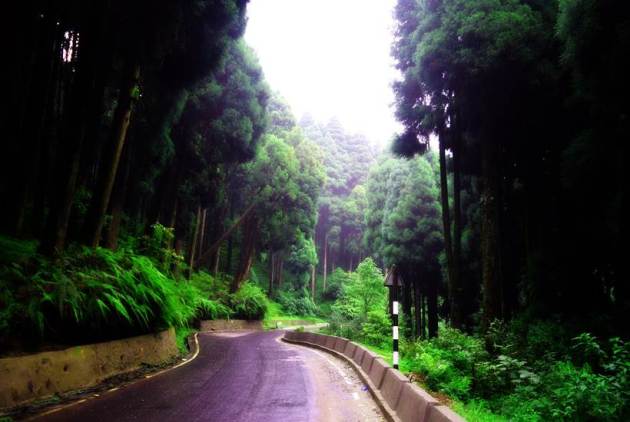 Express Wanderlust, Darjeeling, West Bengal, West Bengal tourism, trip to Darjeeling, travel, weekend getaway, Indian Express, Indian Express news