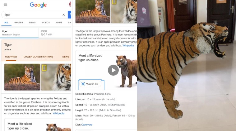 How to watch Google 3D animals [Step-by-step guide] | Technology News