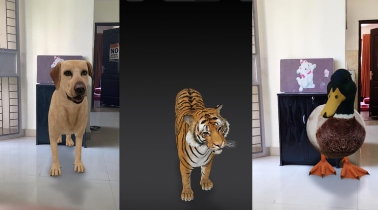 How Do I View 3D Live Animals On Google Using Camera?