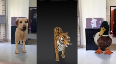 How to watch Google 3D animals [Step-by-step guide] | Technology News,The  Indian Express
