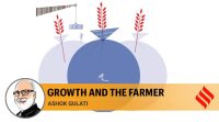 ASHOK-GULATI 759 Growth and the farmer: Consumer bias in food policy reduces incentives for farmers