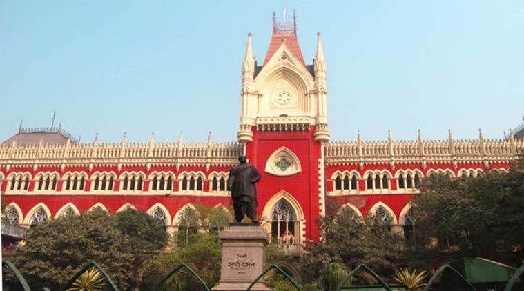 Polish student asked to leave India, Kamil Sedchinski, Jadavpur University, kolkata high court, kolkata news, indian express