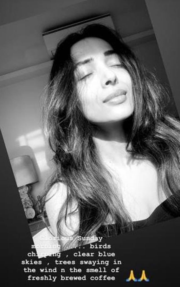 malaika arora sunday photos