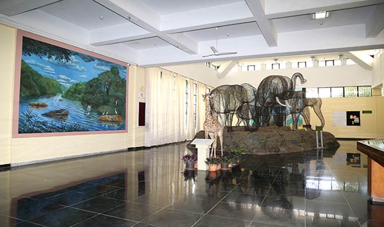 World Wildlife Day, museums, museums of India, wildlife museums of India, parenting, indian express, indian express news