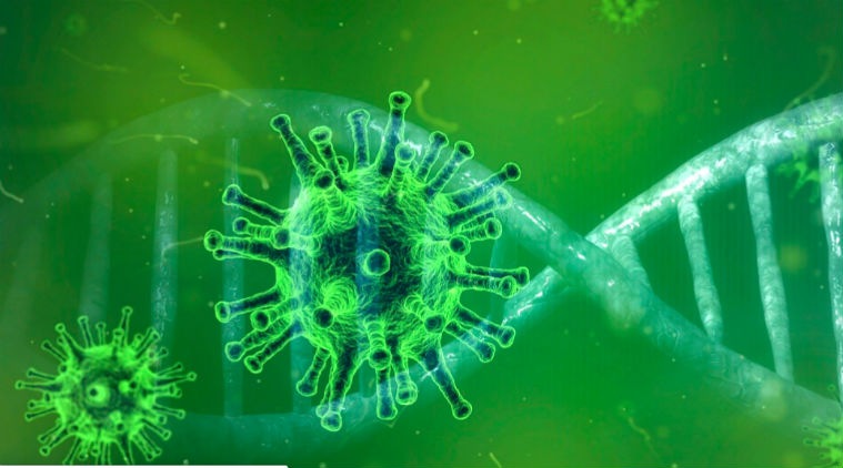 تفشي الفيروس التاجي: تفتح NVIDIA برنامج تسلسل الجينوم للباحثين 97