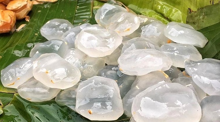 nungu, ice apple, what is nungu, palmyra palm, summer fruit, natural coolant, indianexpress.com, nungu benefits, ice apple benefits, indianexpress, dehydration,