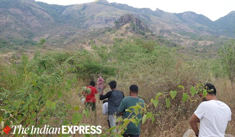 coronavirus india cases, karnataka coronavirus cases, bengaluru coronavirus, coronavirus updates, coronavirus news india, latest news, indian express