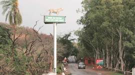 Wildlife Haryana wildlife sanctuaries, Morni hills, Khol-Hai-Raitan sanctuary, Bir Shikargha, Haryana news, indian express news