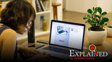 Explained: Here’s why work from home works, or does it?