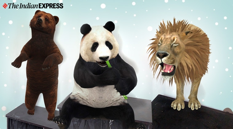 How to use Google Animals to see a tiger, lion and panda in 3D