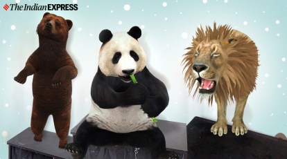 Google 3D, Bring Wild Animals Home