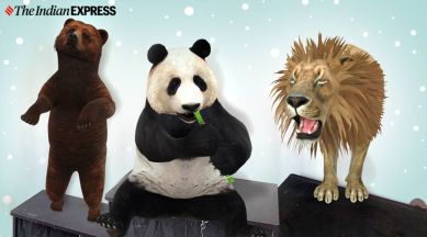 Google trick brings 3D lions, tigers, sharks and penguins into your home -  Mirror Online