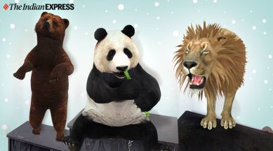 Google 3D Animals AR Feature: From Lion, Giant Panda, Tiger, Cat to  Penguin, View Full List of Animals, Birds And Reptiles That Will Give You  Company in Lockdown!