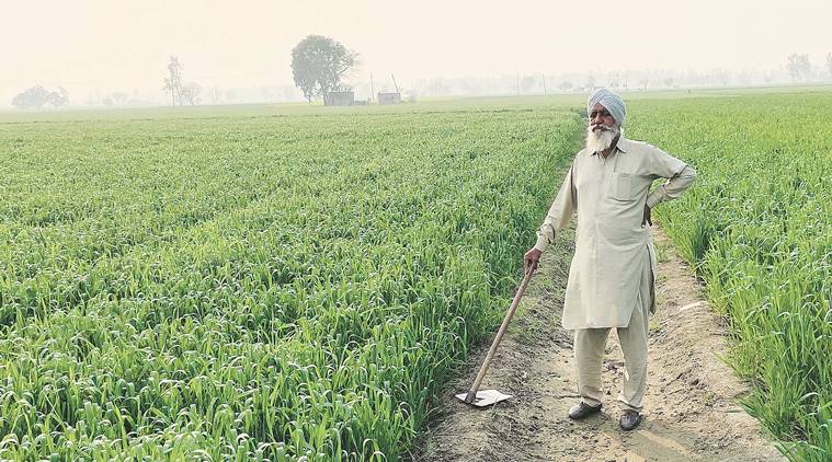 Direct benefit transfer: When those who sow, don’t reap the dividend
