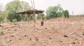 Dantewada, Dantewada maoist, maoist enounter, district, Dantewada girl suicide, International Women’s Day celebration, Dantewada International Women’s Day, Bastar Women’s Day celebration