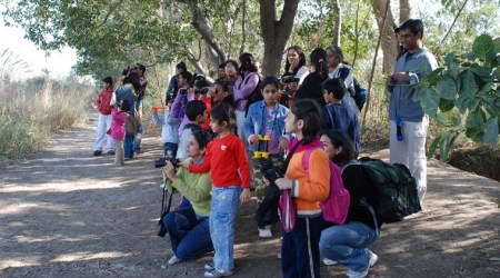 Ranjit Lal, Ranjit Lal column, bird watching, coronavirus, quarantine, isolation, eye 2020, sunday eye, indianexpress,