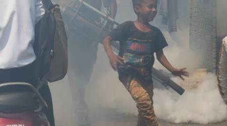 Goa, Goa coronavirus, Goa coronavirus cases, Goa coronavirus precautions, COVID 19, goa news, indian express