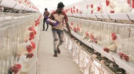 coronavirus, coronavirus impact, coronavirus infection, coronavirus in india, pune news, india news, indian express