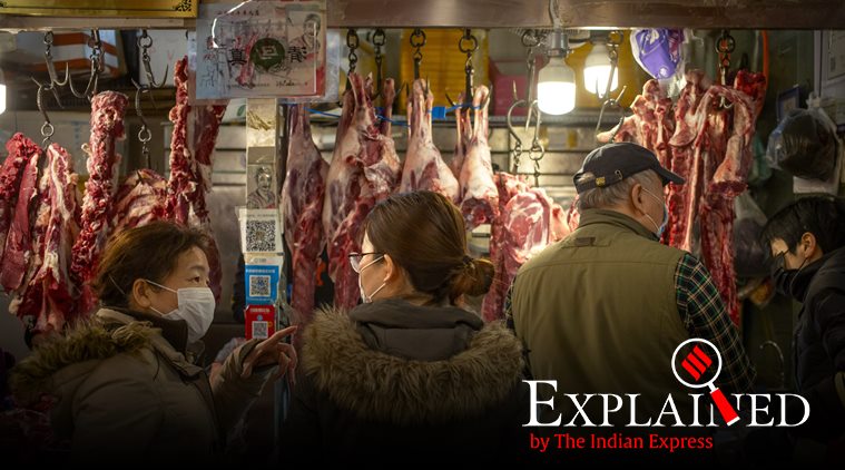 coronavirus, china coronavirus outbreak, china bat soup, coronavirus origin, china wet shops, indian express explained