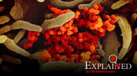 Coronavirus Outbreak Explained: New study suggests SARS-CoV-2 may be detected using a 'naked eye' test