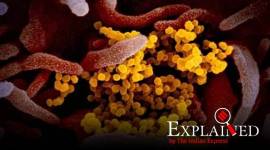 Explained: Hydroxychloroquine is recommended for very specific cases — here’s why it’s no silver bullet