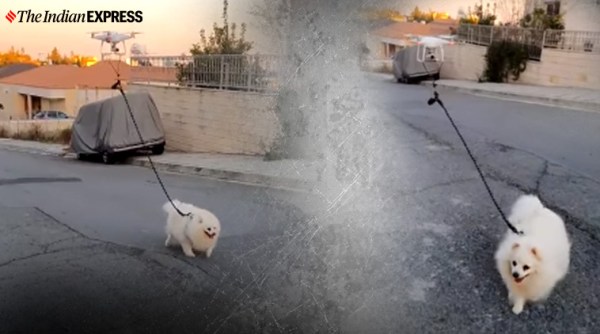 coronavirus, coronavirus pets, drone walks dog, cyprus lockdown, pets lockdown, viral videos, indian express