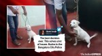 Watch: Bengaluru City Police adopts, trains stray indie dogs, earns plaudits online