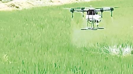 Indian farmers, indian agriculture, indian agriculture techniques, new agriculture techniques, drones, india news, indian express