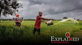 Ahead: bumper crop, multiple challenges