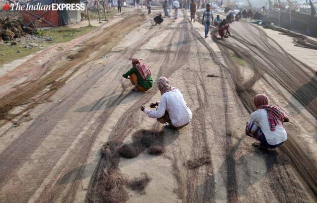 hilsa fish, kamphuli river, bangladesh hilsa, hilsa production, fishermen, bangaldesh fishermen, indian express
