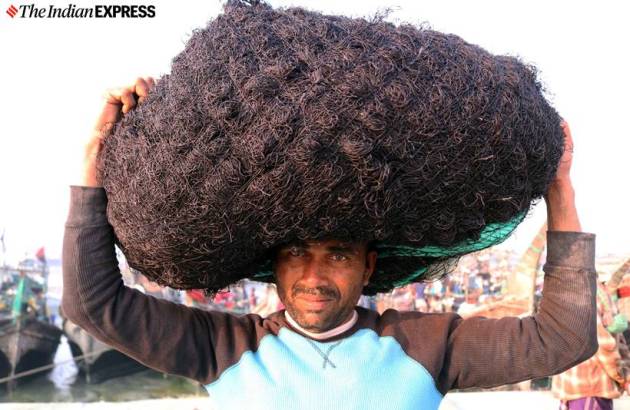 hilsa fish, kamphuli river, bangladesh hilsa, hilsa production, fishermen, bangaldesh fishermen, indian express