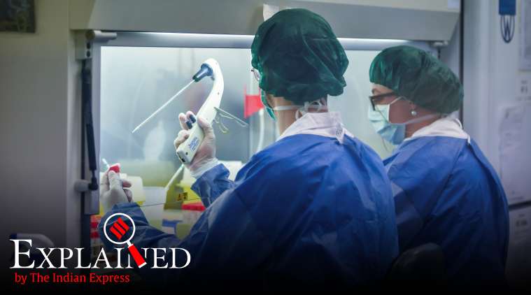 An Expert Explains: ‘WHO’s underfunding hits global disease response’