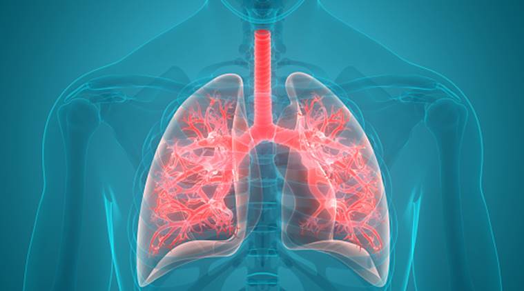 How to Keep your Lungs Healthy?