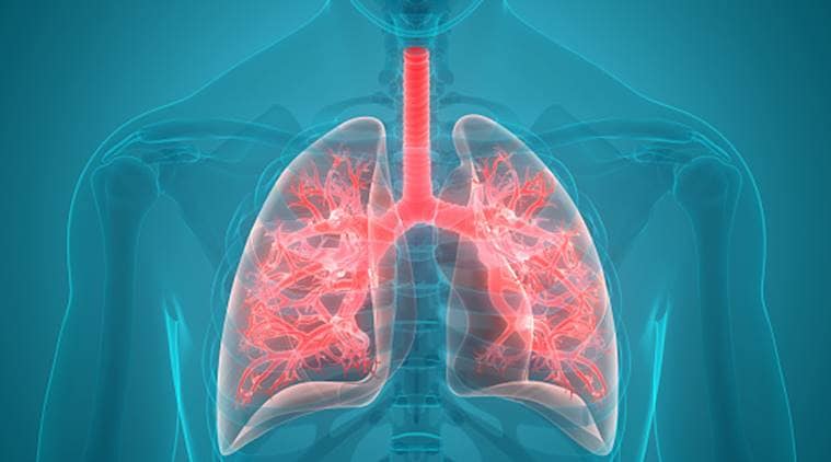 How to Keep your Lungs Healthy?