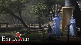 Explained: Quarantine works better than airport screening, finds study