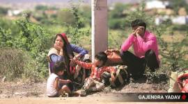 Migrant’s last earning before suicide: Rs 2,500 from sale of phone