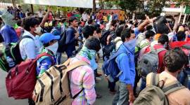 migrants1 no alt set