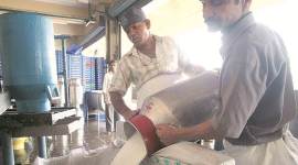 milk market, milk procurement, milk sales, milkfed, punjab milk cooperative, india lockdown impact on milk sales, milk products, indian express