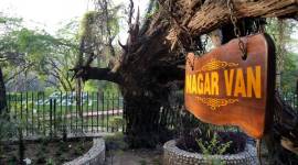 A view of Nagar Van backside Sukhna lake in Chandigarh Chandigarh administration stops construction of exotic bird aviary at Nagar Van