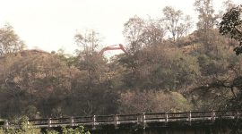 TBRL starts construction of boundary wall to restrict movement of wild animals