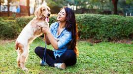 coronavirus, pet animal, PETA