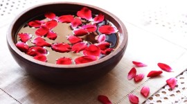 rose petals, rose beenfits for skin, rose petals, rose petal benefits, rose water, indianexpress.com, indianexpress, acne, skincare, skincare regime, sunscreen, mood lifter, rose petal beenfits, rose water benefits,