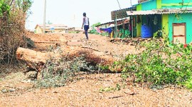 village coronavirus, coronavirus infection, coronavirus outbreak, maharashtra coronavirus cases, maharashtra village, indian express